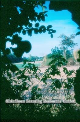 pc000577.jpg