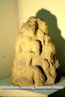 pc000573.jpg