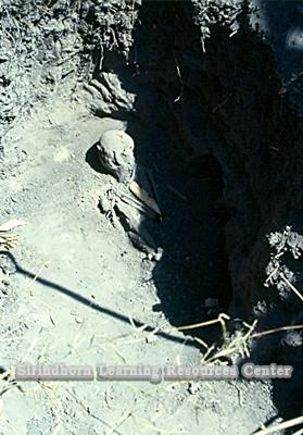 pc000472.jpg