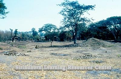 pc000500.jpg