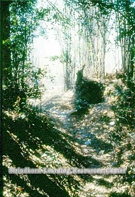 pc000502.jpg