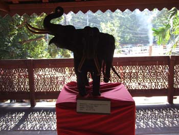 DSCF1670