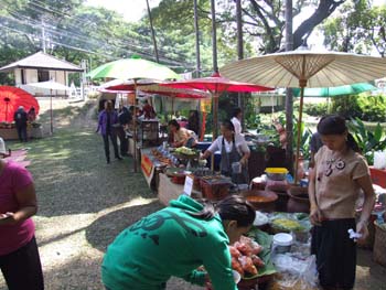 DSCF1799