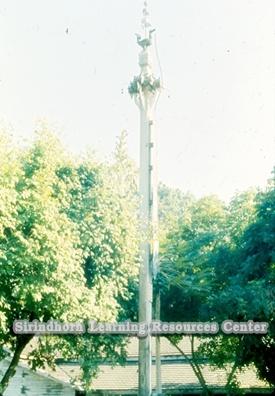 pc000729.jpg